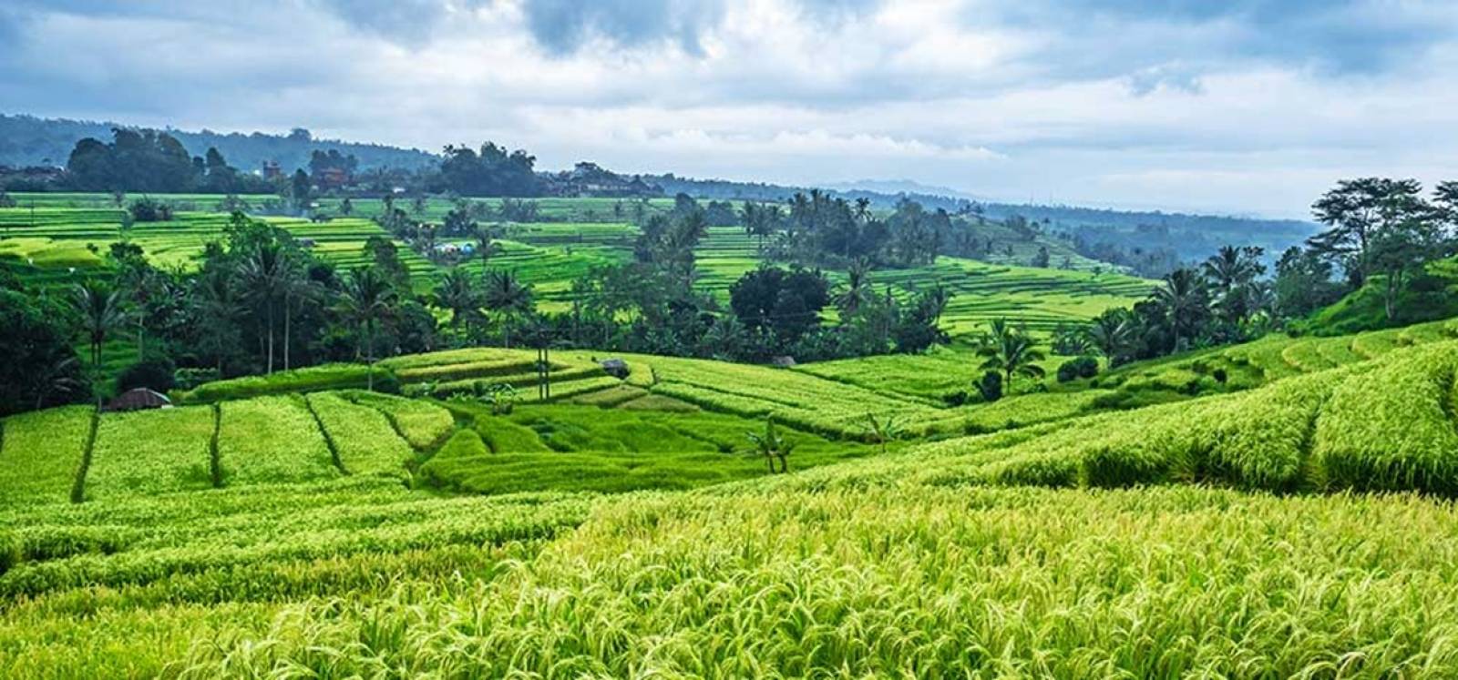 L’Essentiel de Bali et Lombok