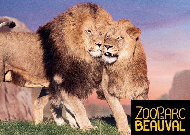 Du 22 au 24 Juin 2026 - Plongez dans l'univers fascinant du Zoo de Beauval