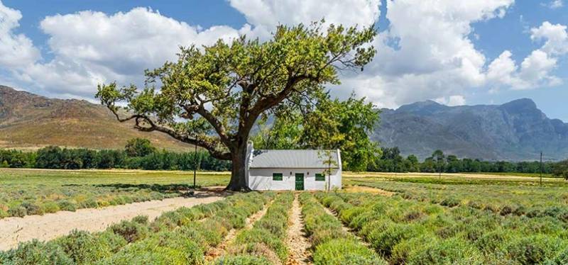 Aventure et découverte en Afrique du Sud