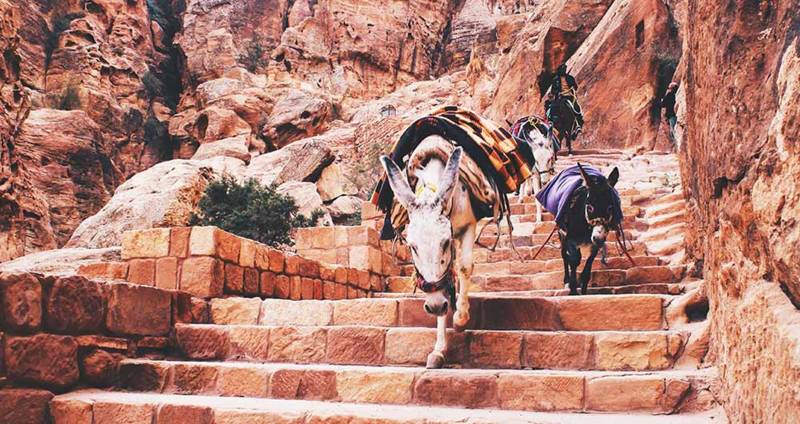 L’Essence de la Jordanie