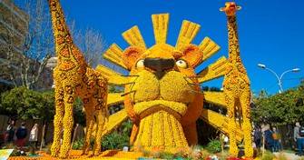 15 Février 2026 / Fête des citrons à Menton