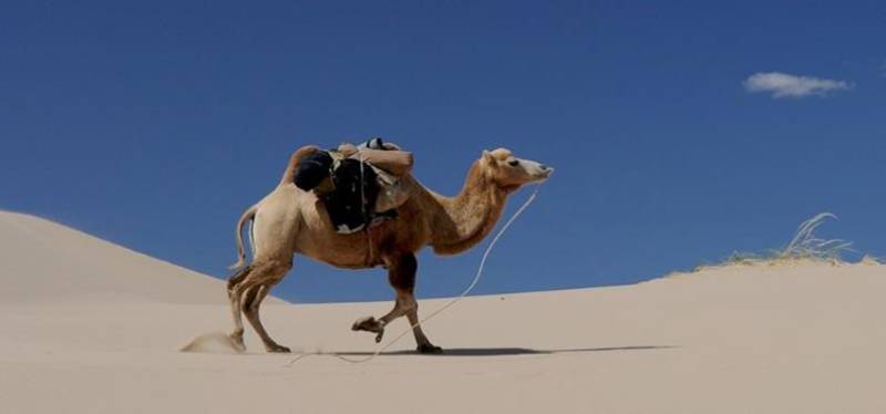 Ouzbékistan, entre histoire et traditions