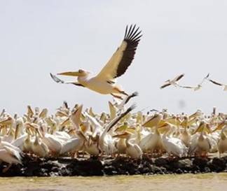Au cœur du Sénégal