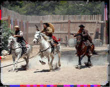 Nos prestations sur le secteur de Bouches du Rhône 13